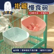 當天馬上出⭐【熊星吉】吸盤式貓吊床 免安裝 可折疊 貓咪吊床 寵物吊床 吊床 吸盤 免打孔 免打洞 可折疊貓吊床 曬太陽