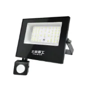 (店+)【太星電工】LED感應投射燈(30W/50W/100W)全電壓 戶外感應燈 人體感應 工業燈 庭院燈 花園燈 插電感應燈 WDC
