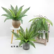 仿真波斯蕨 腎蕨 ／好受歡迎 佈置好用／假蕨類 台灣現貨🇹🇼 森林風 佈置 綠色植物 波斯蕨 蕨類植物 熱帶雨林 假植物
