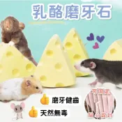 (店+)『乳酪磨牙石倉鼠』楓葉鼠 三線鼠 龍貓 松鼠 天然火山岩磨牙石 磨牙棒 磨牙塊