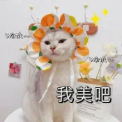 喜挖2店 寵物向日葵項圈貓咪狗狗搞怪頭套可愛花朵圍脖圍巾