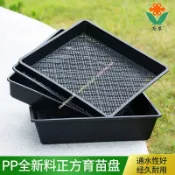 精選好物 園藝工具 加厚芽菜育苗盤 穴盤 芽苗菜托盤 多肉育苗盆 發豆芽箱種植盒 smallnon2u03