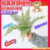 🌿景觀裝飾🌿仿真蕨葉 綠植造景植物 擬真植物 仿真桫欏葉 波斯頓蕨 蕨類 仿真植物