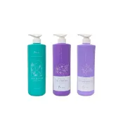 Fonnian 豐釀 酵素毛囊/小蒼蘭彈潤 洗髮精 紫根彈潤護髮素 1000ml (任選1入)