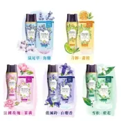 (店+)【熊寶貝】SNUGGLE 多效護衣芳香豆 補充包300ml/包 (香香豆)