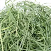 【綠源牧草鋪】無枯桿軟嫩款萌寵牧草 牙口不好老兔兔 天竺鼠 豚鼠 荷蘭豬 龍貓 陸龜 老年牛馬羊 輕鬆咀嚼進食