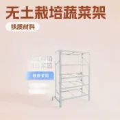 喜挖2店 花盆託盤種菜架子無土栽培蔬菜裝置多層盆景立體槽家庭種植架託盤