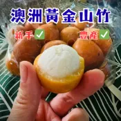 【澳洲黃金山竹】5年粗壯實生苗 阿恰恰山竹 新手必種 陽台果園 水果苗 果樹苗 樹苗 山竹 山竹苗 黃金山竹 熱帶果樹