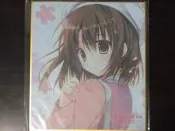 《華戀精品》《無損》現貨 日版 ANIPLEX+ 購入限定 不起眼女主角培育法 特典色紙 No.02 加藤惠