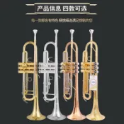 【日本原裝】Yamaha 山葉 YTR-8335GS 降B調小號 初學 考級 演奏 樂器 黃銅