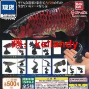 免運~~生物大圖鑒魚類扭蛋 血紅龍 鱷雀鱔 皺鰓鯊模擬收藏擺件 現貨