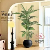 布拉格奇幻生活 免運 公司貨 仿真 仿真綠植盆栽大型假樹金棕櫚客廳室內戶外裝飾落地裝飾花盆栽擺件 可開發票 全館五折 工廠現貨直銷 新品特價 BLGQHSH1225
