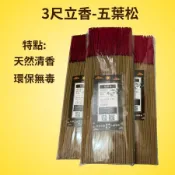 【建方松園】 立香尺三 五葉松立香 環保立香 天然香 五葉松香氛 拜拜香 線香 頂級立香 木香 清香 微煙 天然立香