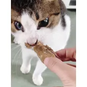寵物用品 貓吊床內鍋L號