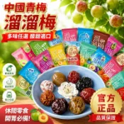 現🐳貨溜溜梅可選口味 多口味梅子零食 西梅雪梅青梅真烏梅酸甜開胃蜜餞 清梅脆青梅子休閒小吃 辦公室追劇解饞必備