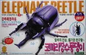 SMART TOY 1/1 ELEPHANT 甲蟲