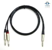 音響世界二館：美國Pro Co AC2 Y Cord Insert訊號線+鍍鎳Neutrik 6.3mm Jack(含稅