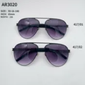 全球選品1館 生活百貨 AR3020德國IC柏林BERLIN超輕薄生物鋼片太陽眼鏡墨鏡多色可選茶紅