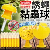 誘蠅球 捕蠅球 黏蒼蠅球 黏蠅球 果蠅誘捕劑 果蠅餌劑 果實蠅引誘劑 誘捕器 黏蟲板 誘蟲球 捕蠅器 果蠅 高黏性黏蟲球