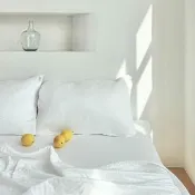 【ZAMZAM】Tsunooga™ 冰羽紗涼感枕套 夏季舒眠枕套 韓國製成人寢具(日本東洋紡涼感纖維)