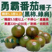 城禾農產🍃 勇霸一點紅番茄種子 8粒 永霸番茄種子 大番茄種子 永霸大番茄種子 番茄種子 黑柿蕃茄種子 一點紅番茄種子