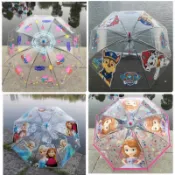 ⭐️預購下單處⭐️🎉兩把免運費🎉 兒童雨傘 兒童雨具 兒童透明雨傘 卡通傘 冰雪奇緣 蘇菲亞 汪汪隊 佩佩豬