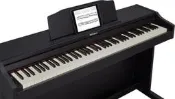 桃園田田樂器-Roland RP102 RP-102