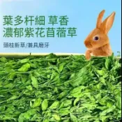 【芳香牧草】低鈣高纖提摩西乾草 一割二割搭配苜蓿燕麥甜小麥百慕達 綜合牧場無農藥牧草
