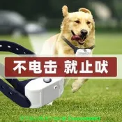 （可開發票）防止狗叫止吠器自動噴霧小型犬狗不叫防擾民神器寵物止犬器項圈（滿額免運）