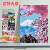 釘好內框🔥 Manto【台灣製】DIY數字油畫|店到店專用尺寸-釘好實木內框|45x36cm