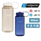 nalgene 美國 Everyday 500ml 寬口水壺 不含塑化劑 BPA free 攜帶式 易清潔 運動 戶外