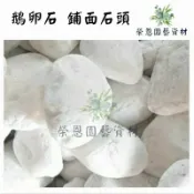 1公斤 白色鵝卵石 石頭 白石頭 裝飾用 水族用 【榮恩園藝資材】