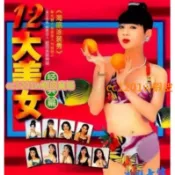 CC影視*金錢豹泳裝美女 12大美女閩南語歌曲MV 千首MTV全集版非DVD