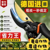 🔥INS爆款🔥園藝剪刀 剪刀 高枝剪 樹枝剪 修枝剪 花枝剪刀 粗枝剪刀 剪定鋏 花剪 檳榔剪刀 採果剪刀 農用剪刀