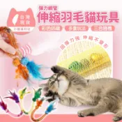 《小貓福利社》貓薄荷羽毛彈簧管貓玩具 貓玩具 逗貓玩具 彈簧貓玩具 羽毛貓玩具 逗貓棒 逗貓 磨牙玩具 貓咪玩具 球玩具
