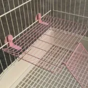 免運🚛寵物籠透明樓梯踏板 跳台跳板 階梯玩具 龍貓兔子豚鼠家用diy貓梯子 貓籠配件小樓梯【寶樂寵物】