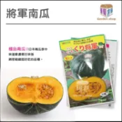 將軍南瓜(栗子南瓜)種子--味道最濃稠~甘味強 綿密細緻-《園藝倉庫》