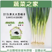 【蔬菜之家】D13.寒天大蔥種子0.44克(約200顆)(F1，葉直立，深綠色，頸部緊實，株型美，蔥白亮白有光澤
