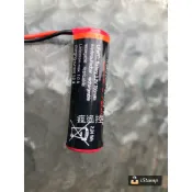 【加大】馬力歐電池 瑪利歐 馬力歐 遙控車 好市多 carrera 瑪利兄弟 火箭賽車 瑪莉歐 遙控車 3.2v 電池