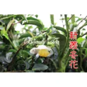 美茶行◆春冬茶清香系列【烏龍．金萱．翠玉．四季春】◆品質保證◆每季最新採摘★開發票優良賣家★