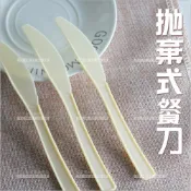 WOMAN HOUSE 軟化去角質一次性刮腳皮刀腳底按摩(拋棄式餐刀)-單支[57524]