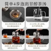 【公司貨 13區】金灶A-76小青柑泡茶壺茶杯飄逸杯玻璃茶壺泡茶過濾杯茶具套裝家用
