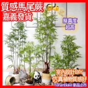 民雄發貨❤️馬尾蕨❤️北歐ins家居落地植物 裝飾仿真綠植 盆栽 波斯蕨 鐵線樹 蕨類植物 假樹 假草 假盆栽