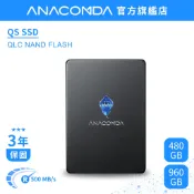 【隔日到貨】巨蟒 SSD 480GB／960GB SATA III 內接式 固態硬碟｜QS