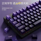 鼎盛貿易行 臺灣注音正刻側刻漸變鍵帽PBT透光OEM高度機械側刻鍵帽小語種客製