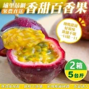 【WANG 蔬果】埔里吊網香甜百香果5斤x2箱(買一送一 果農直配 水果禮盒)