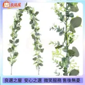 🌾仿真花 藤蔓桉樹葉 圓葉藤條柳葉 常春藤裝飾花 家居裝飾藤條 爬藤 綠葉裝飾藤條 仿真植物尤加利 仿真植物 仿真 裝