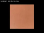 《磁磚本舖》少見皮革磚 愛瑪仕咖啡 60x60公分 花磚 玄關 客廳 營業空間 網美咖啡店面 超低價促銷中