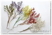 ◎花語人造花資材◎＊卡斯比亞插支＊花藝盆景配花~櫥窗~花圈花環~會場佈置