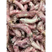 (巧薪 小魚干) 澎湖 鹹小卷300g